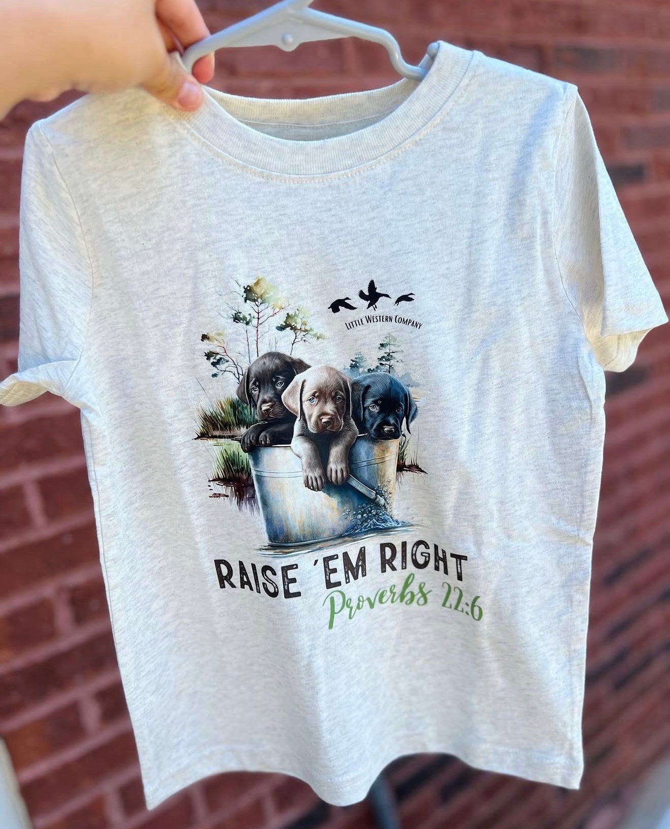Raise Em’ Right Proverbs 22:6 Tee