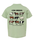 Cow Breeds - Sage