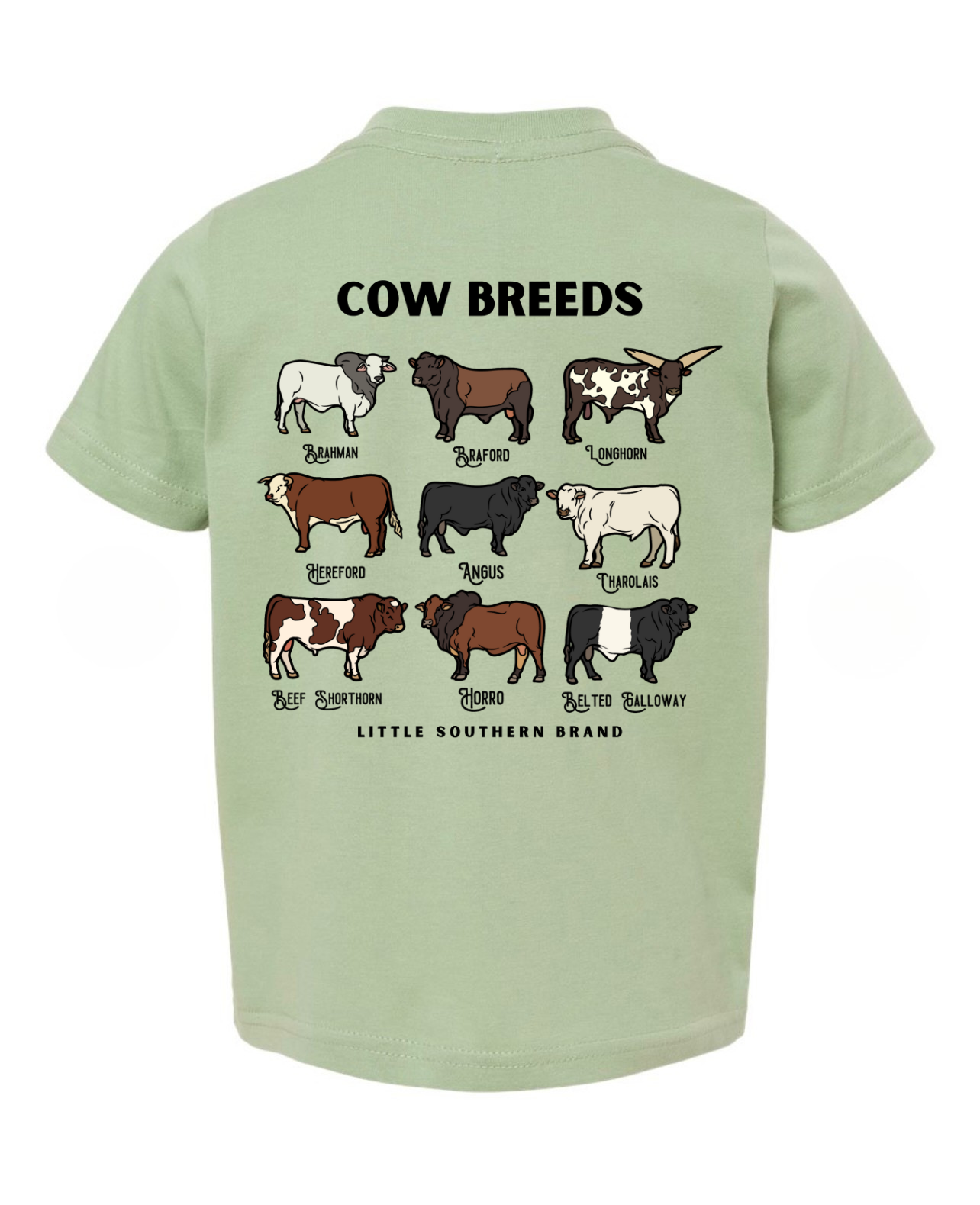Cow Breeds - Sage